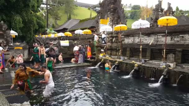 Yüzme Havuzları Tirta Empul Tapınağı Bali — Stok video