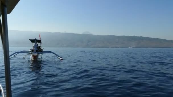 Δελφίνι Άλματα Έξω Από Νερό Μπροστά Από Σκάφος Μπαλί Ινδονησία — Αρχείο Βίντεο