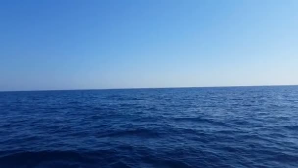 Дельфін Стрибає Води Перед Човен Балі Індонезія — стокове відео