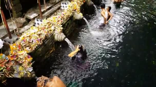 不明身份的巴厘岛家庭来到印尼巴厘岛 Tirta Empul 的圣泉水神庙 祈祷和净化他们的灵魂 — 图库视频影像