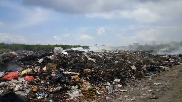 Afval Vuilnis Verwijdering Lembongan Island Bali — Stockvideo