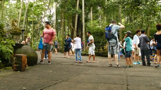 Metragem Turistas Caminhando Paisagem Incrível Belo Dia Bali — Vídeo de Stock