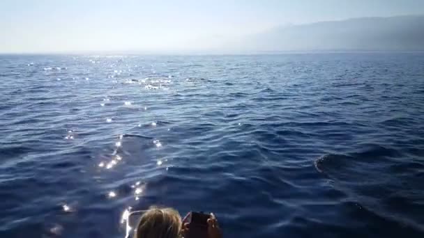 Blond Europese Vrouw Mobiele Foto Nemen Van Dolfijnen Voor Boot — Stockvideo