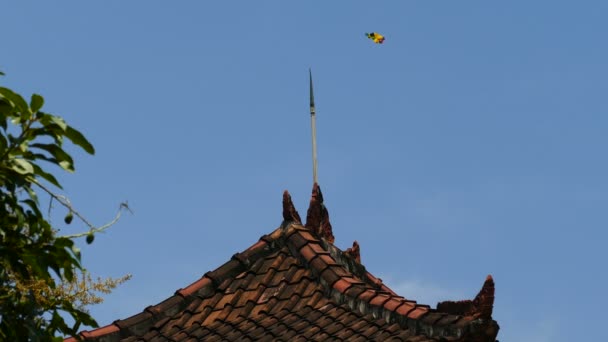 Cometa Amarilla Sobre Techo Del Templo Cielo Azul — Vídeos de Stock