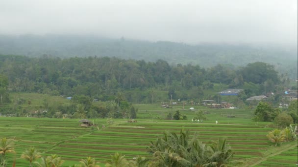 Letecké Záběry Úžasné Krajině Bali Krásný Den — Stock video