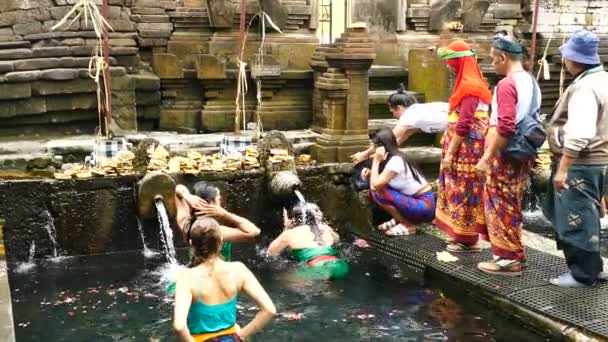 Familias Balinesas Identificadas Acuden Templo Del Agua Manantiales Sagrados Tirta — Vídeos de Stock