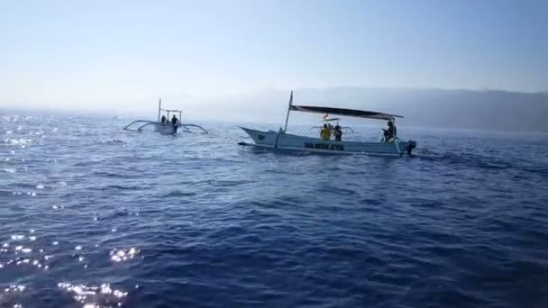 バリの海の伝統的な漁船がイルカを待っています — ストック動画