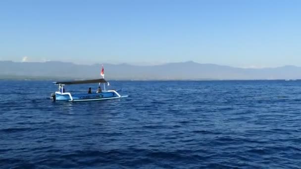Ομάδα Των Δελφινιών Μπροστά Από Σκάφος Στη Θάλασσα Του Μπαλί — Αρχείο Βίντεο