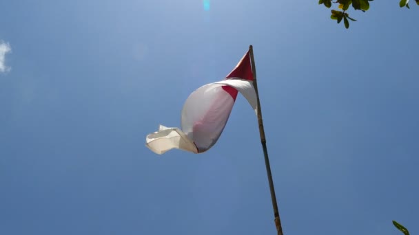 Flagge Indonesiens Auf Bambusstab Blauen Himmel — Stockvideo