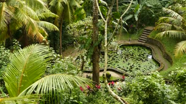 Balinese Women Hands Make Sacrificial Baskets Bali — Stock Video