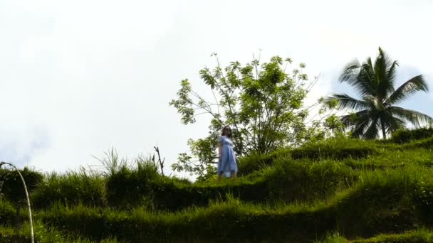 Menina Asiática Vestido Azul Caminhar Sobre Campos Arroz Desa Pakraman — Vídeo de Stock