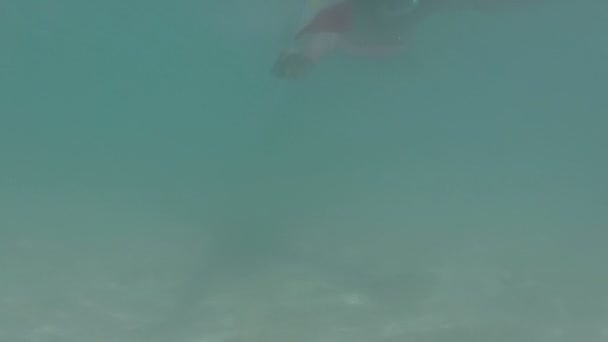 Underwater Swimming Sea Philipinnes — Stock Video