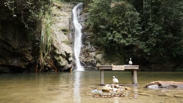 Incroyable Cascade Froide Philipinnes — Video