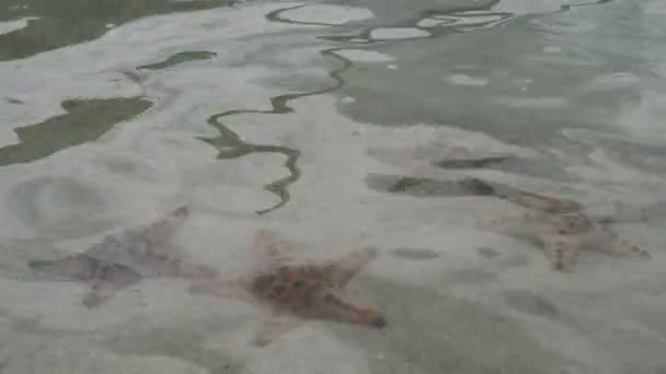 Plongée en mer Méditerranée 