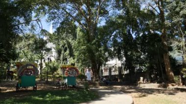 Park, Manila, Philipinnes yürüyen kadın