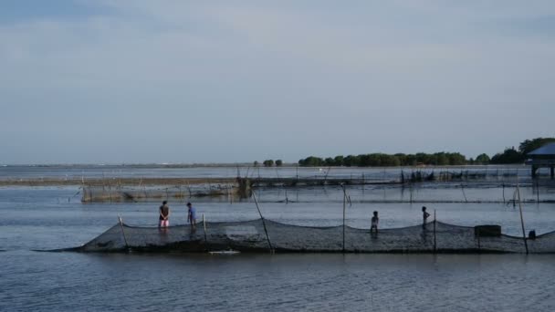 Balık Ağları Üzerinde Kumlu Plaj Puerto Princesa Philipinnes — Stok video