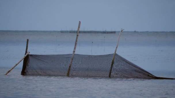 Рыбные Сети Песчаном Пляже Пуэрто Принсеса Филиппиннес — стоковое видео