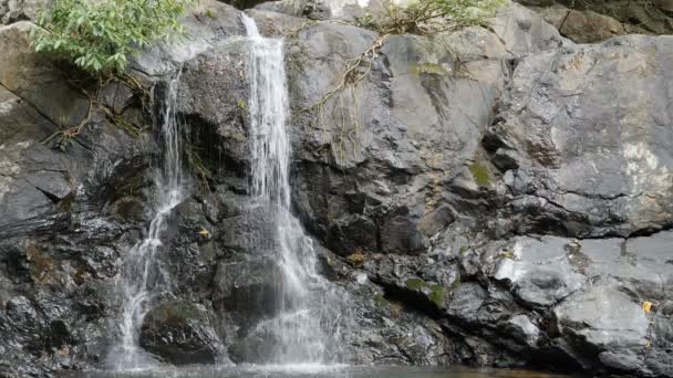 Air Terjun Dingin Yang Menakjubkan Philipinnes — Stok Video