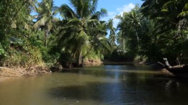 San Vicente 'de küçük bir nehirde, Filipinler' de, Palawan 'da banga teknesi olan bir tekne.