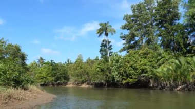 San Vicente 'de küçük bir nehirde, Filipinler' de, Palawan 'da banga teknesi olan bir tekne.