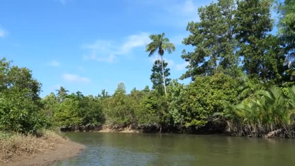 San Vicente Küçük Bir Nehirde Filipinler Palawan Banga Teknesi Olan — Stok video