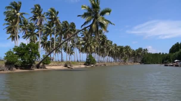 Lodě Malé Řece San Vicente Banga Lodí Palawan Filipíny — Stock video