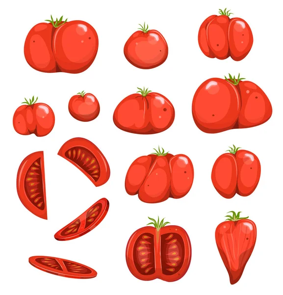 Conjunto de tomates rojos — Vector de stock