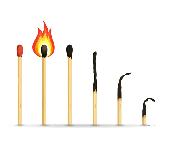 Illustration Set Wood Match Stick Normal Burning Burnt Samples — Stock Vector