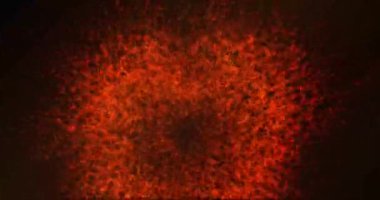 Soyut yangın patlama siyah arka plan üzerine