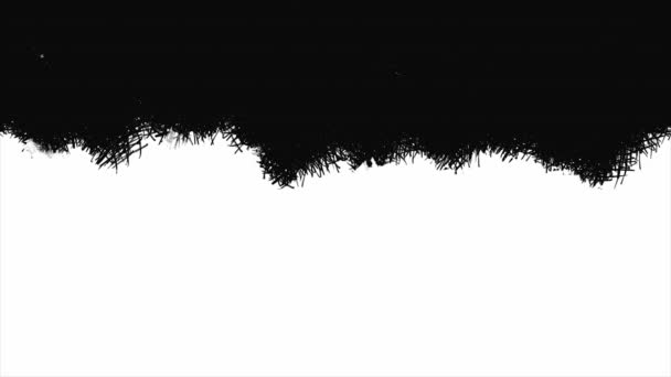 4Kリアルな黒と白のミニマルな抽象絵筆ストローク導入シーケンスのアニメーション — ストック動画