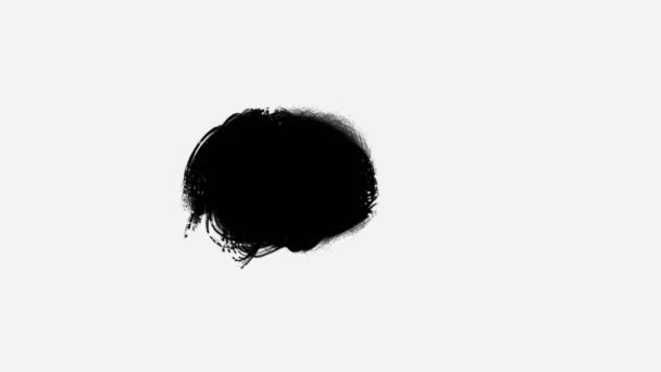 Paint Brush Stroke Frame Intro Background Animation Realistic Black White — Stock Video