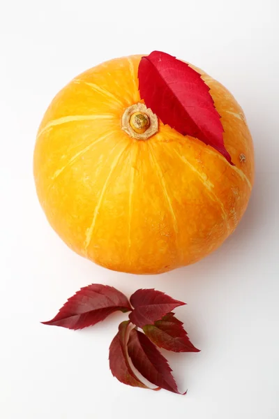 Pomerančová Dýně Bílém Pozadí Boční Pohled Zkrácení — Stock fotografie
