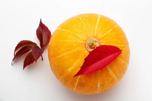 Sonbahar üzümlü beyaz bir arka planda balkabağı.