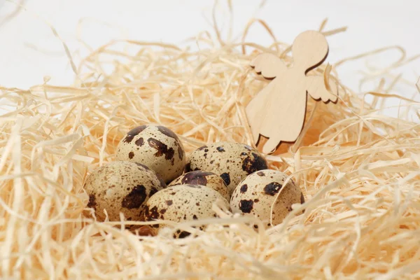 Quail Eggs Nest Hay Close — Stock Photo, Image