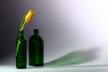 Sarı laleli yeşil şişe..