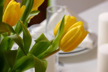 Sarı laleler dekorasyon bir tatil için.