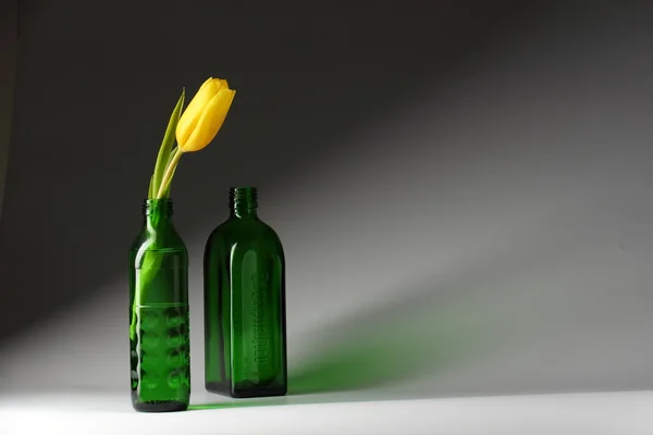 Green Bottle Yellow Tulip — Stock Photo, Image