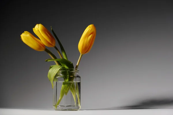 Three Yellow Tulips Glass Jar — Stock Photo, Image