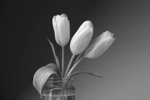 Três tulipas amarelas em um frasco de vidro . — Fotografia de Stock