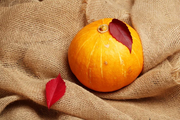 Kabak sonbahar keten zemin üzerine üzüm yaprakları.