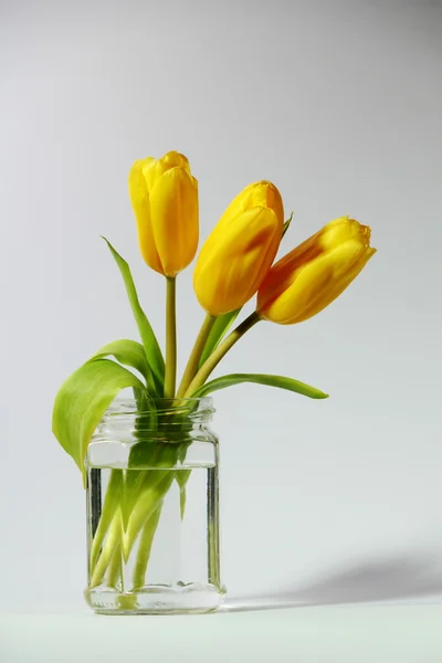 Três tulipas amarelas em um frasco de vidro . — Fotografia de Stock