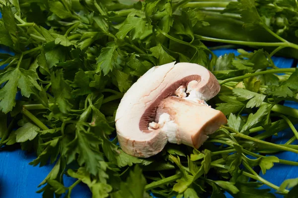 Mushroom on the parsley. — Stock Photo, Image