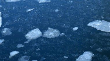 Bahar zamanı nehirde yüzen çatlak buz. Küresel sıcaklık.