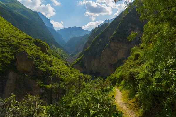 Colca Kanyon manzarası