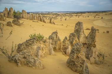 pinnacles çöl
