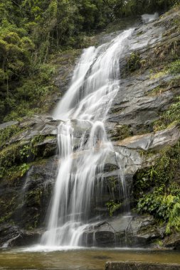 Tijuca Forest Rio De Janeiro şelale