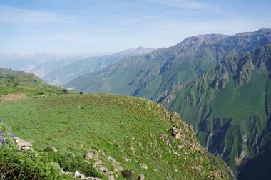 Colca Canyon Arequipa bölgesi