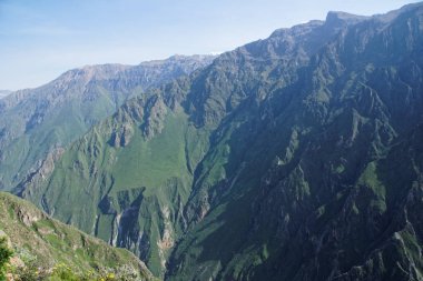 Colca Canyon Arequipa bölgesi
