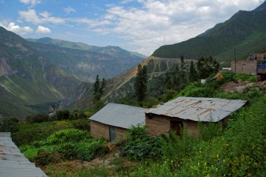 Colca Canyon Arequipa bölgesi