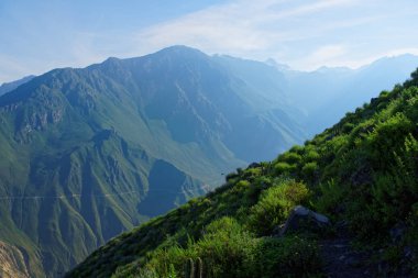 Colca Canyon Arequipa bölgesi